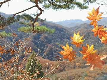 古龍山探秘，夢幻最新攻略