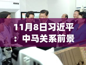 11月8日習近平：中馬關(guān)系前景光明 未來可期，11月8日習近平主席談中馬關(guān)系，未來光明，前景可期