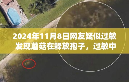 網(wǎng)友過敏遭遇啟示，蘑菇孢子釋放背后的成長與自信之路探索