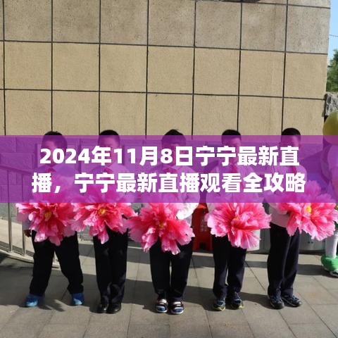 寧寧直播指南，2024年11月8日直播觀看全攻略與入門指南