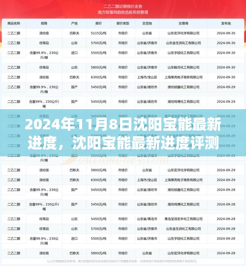 沈陽寶能最新進度深度解析，產品特性與用戶體驗評測報告