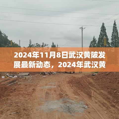 2024年武漢黃陂發(fā)展最新動態(tài)探索，融入?yún)^(qū)域發(fā)展大潮的步伐