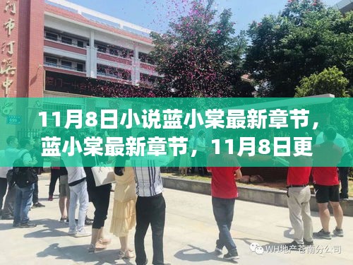 藍小棠最新章節(jié)更新概覽，11月8日之我見
