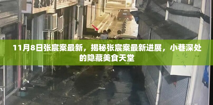 揭秘張宸案最新進(jìn)展，小巷深處的美食天堂揭秘探秘張宸案最新動(dòng)態(tài)