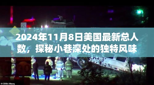 美國(guó)人口新篇章，探秘小巷深處的獨(dú)特風(fēng)味，揭曉最新總?cè)藬?shù)（2024年11月）