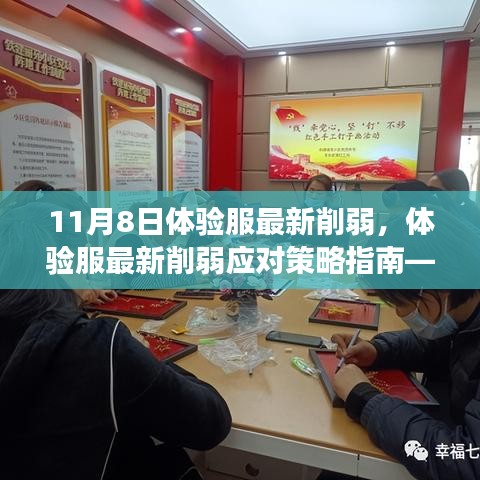 體驗服最新削弱應(yīng)對策略指南，初學(xué)者與進階用戶視角（適用于11月8日更新）