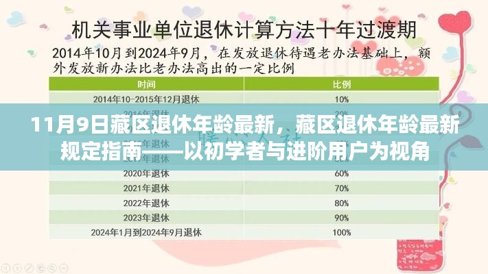 藏區(qū)退休年齡最新規(guī)定指南，從初學(xué)者到進(jìn)階用戶的視角解析（11月9日更新）