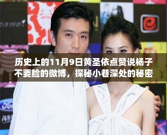 招標(biāo)采購(gòu) 第217頁(yè)