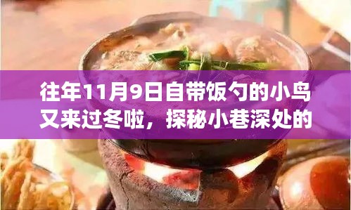 探秘美食秘境，小鳥(niǎo)攜勺冬歸，往年11月與一月美食盛宴開(kāi)啟