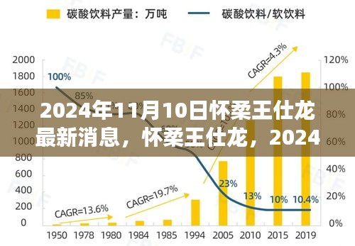 懷柔王仕龍最新動(dòng)態(tài)與深遠(yuǎn)影響力揭曉，2024年11月10日更新