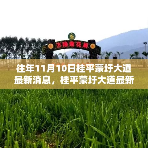 桂平蒙圩大道最新動態(tài)獲取全攻略，輕松掌握最新消息動態(tài)