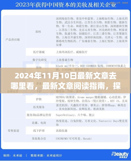 探尋最新文章閱讀指南，揭秘2024年11月10日的精彩內(nèi)容