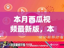 本月西瓜視頻最新版，全新體驗(yàn)與功能升級指南