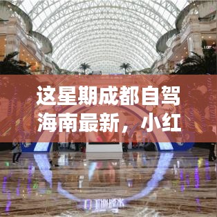 招標(biāo)采購 第216頁