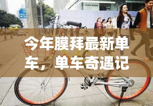 沒精打采 第33頁(yè)