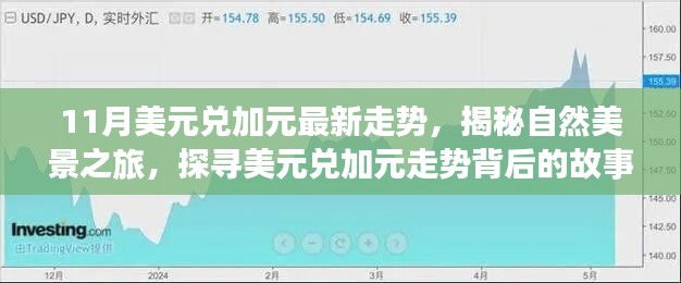 揭秘美元兌加元走勢(shì)背后的故事，自然美景之旅啟程，探尋內(nèi)心的寧?kù)o與平和之旅