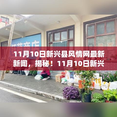 獨家揭秘，新興縣風(fēng)情網(wǎng)小巷深處的隱藏美食，獨特小店美味探險之旅