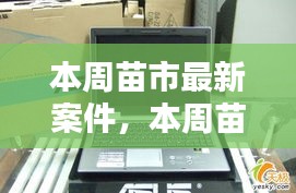 本周苗市熱點(diǎn)揭秘，最新案件動(dòng)態(tài)全掌握