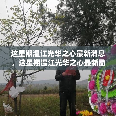 溫江光華之心最新動態(tài)及消息，一站式獲取信息的全面指南