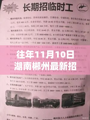 湖南郴州最新招聘信息概覽，往年11月10日求職熱點揭秘