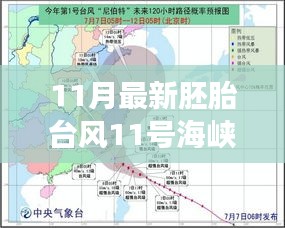 招標(biāo)采購 第213頁