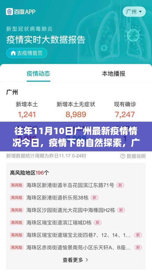 往年11月10日廣州疫情更新，疫情下的自然探索與寧?kù)o美景之旅