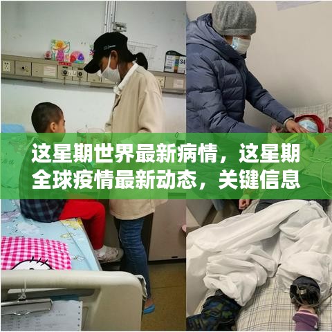 全球疫情最新動(dòng)態(tài)，本周關(guān)鍵信息與案例分析匯總報(bào)告