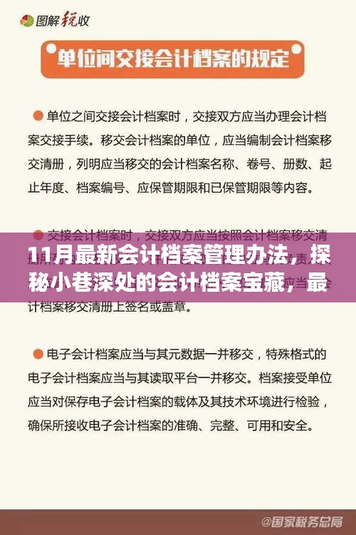 探秘最新會計檔案管理辦法，小巷深處的寶藏與獨特故事揭秘