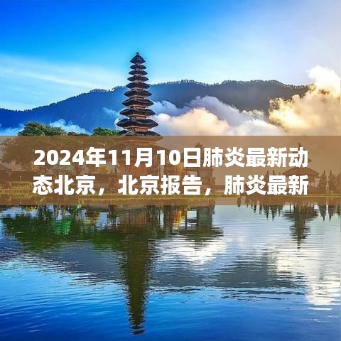 北京肺炎最新動(dòng)態(tài)深度觀察，報(bào)告與影響，2024年11月10日最新進(jìn)展