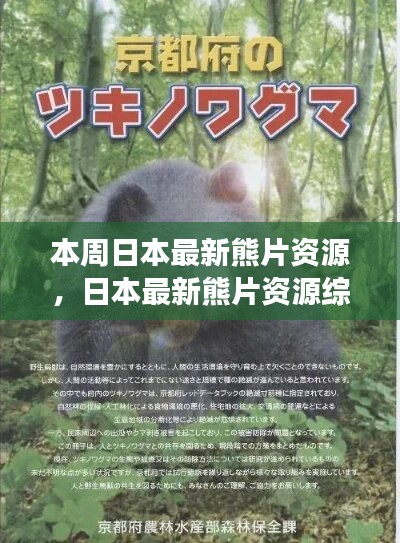 日本最新熊片資源綜述，背景、進(jìn)展與特定領(lǐng)域地位探討