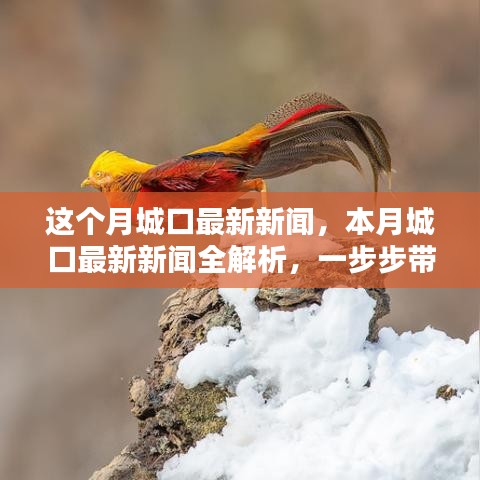 本月城口最新新聞解析，掌握獲取新聞資訊的技能