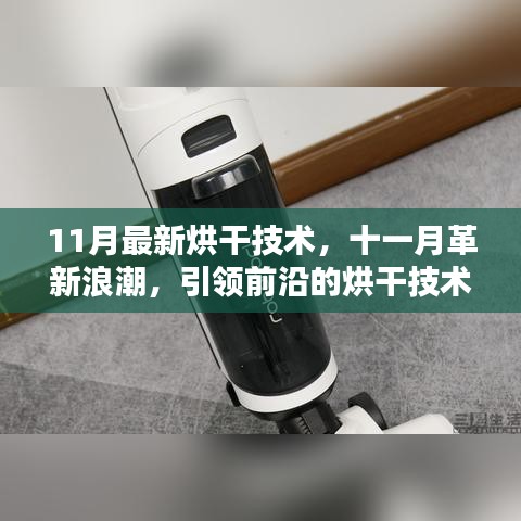 揭秘十一月最新烘干技術(shù)革新，前沿浪潮引領(lǐng)行業(yè)探秘