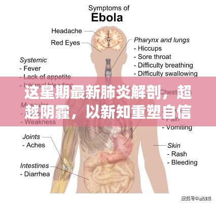 超越陰霾，最新肺炎解剖啟示錄，重塑信心與新知的探索