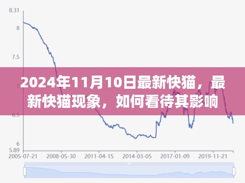 最新快貓現(xiàn)象，影響與未來(lái)發(fā)展觀察（2024年觀察點(diǎn)）