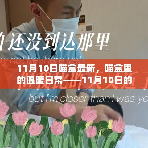 造價咨詢 第209頁