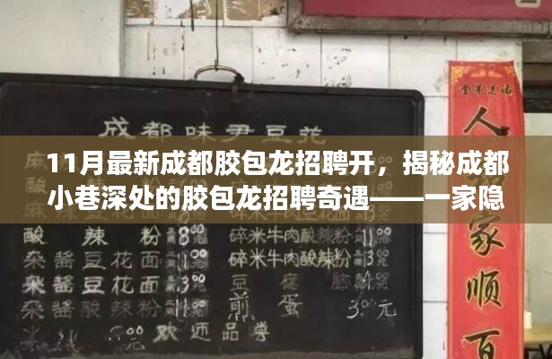 揭秘成都小巷深處的隱藏版特色小店，膠包龍招聘奇遇記