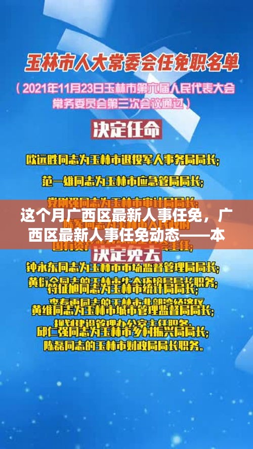 廣西區(qū)最新人事任免動態(tài)，本月焦點解析