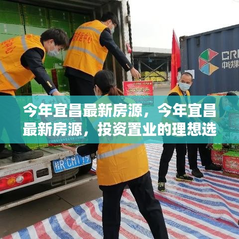 肝膽相照 第31頁(yè)