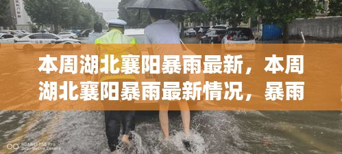 湖北襄陽本周暴雨最新情況，影響、應(yīng)對(duì)措施全解析