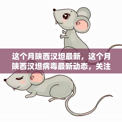 陜西漢坦病毒最新動態(tài)，關注疫情進展，共筑健康防線
