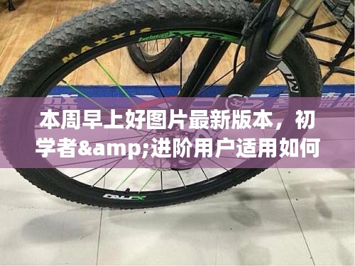 最新早上好圖片問候版獲取與使用指南，適合初學(xué)者與進階用戶
