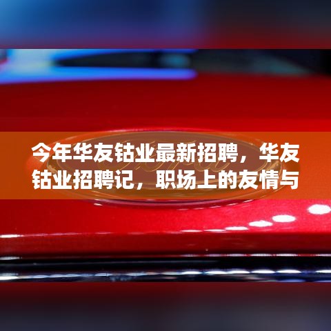 華友鈷業(yè)最新招聘探秘，職場(chǎng)友情與家的溫馨融合