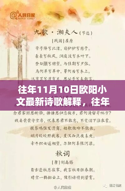 歐陽小文詩歌解析，詩意深度解讀與情感探索——往年11月10日詩歌解讀分享