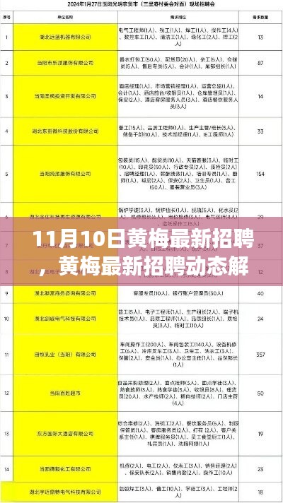 黃梅最新招聘動態(tài)解析，聚焦職場熱點，把握未來趨勢，引領行業(yè)風向標