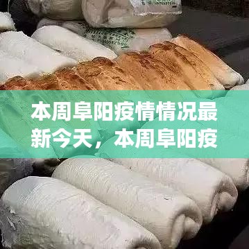 本周阜陽(yáng)疫情最新動(dòng)態(tài)，今日疫情分析、防控成效與多方觀點(diǎn)聚焦
