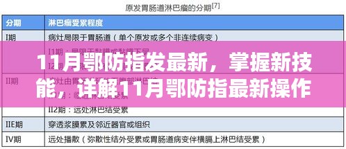 11月鄂防指最新操作流程步驟指南，掌握新技能的詳解