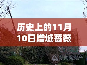 歷史上的11月10日增城薔薇國際房價揭秘，最新價格一覽表！