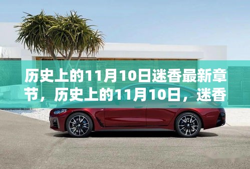 歷史上的11月10日迷香揭秘，最新章節(jié)一覽