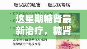糖腎最新治療進(jìn)展，本周小糖治愈周記，糖腎之光照亮希望之路