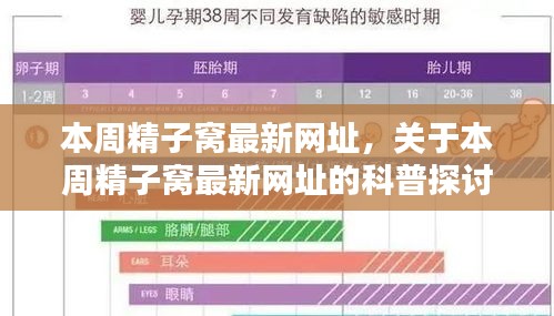 本周精子窩最新網址科普探討，涉及違法犯罪問題